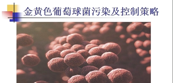 食品工厂微生物控制系列课程 –“ 细菌中金黄色葡萄球菌的控制“