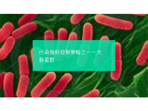 食品工厂微生物控制系列课程 –“ 大肠菌群的控制策略“